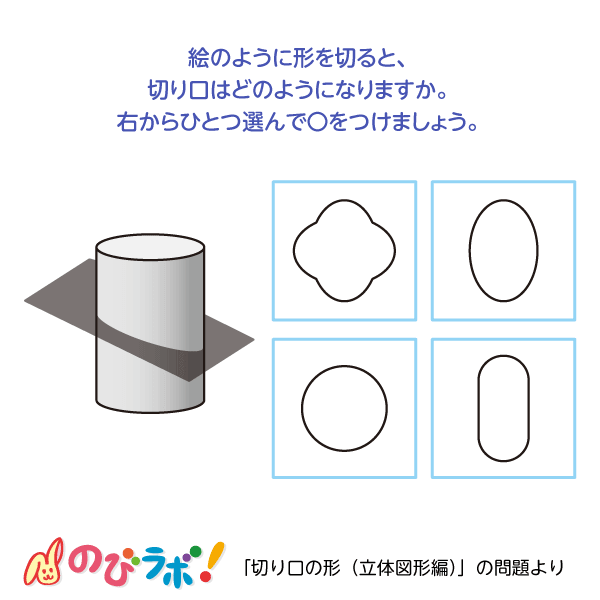 やってみよう「切り口の形-立体図形編」の問題6