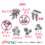 やってみよう「季節の花・植物」の問題3-解答