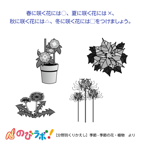 やってみよう「季節の花・植物」の問題3