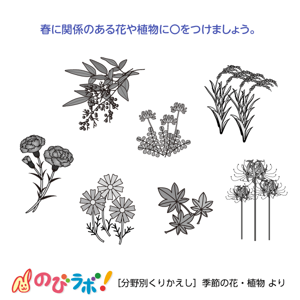 やってみよう「季節の花・植物」の問題3