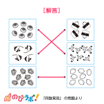 やってみよう「同数発見」の問題5-解答