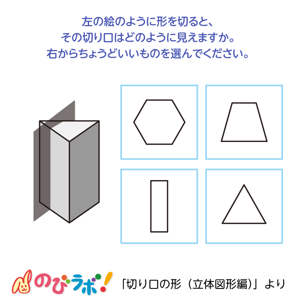 やってみよう「切り口の形（立体図形編）」の問題7