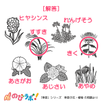 やってみよう「季節の花・植物」の問題5-解答