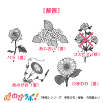 やってみよう「季節の花・植物」の問題4-解答