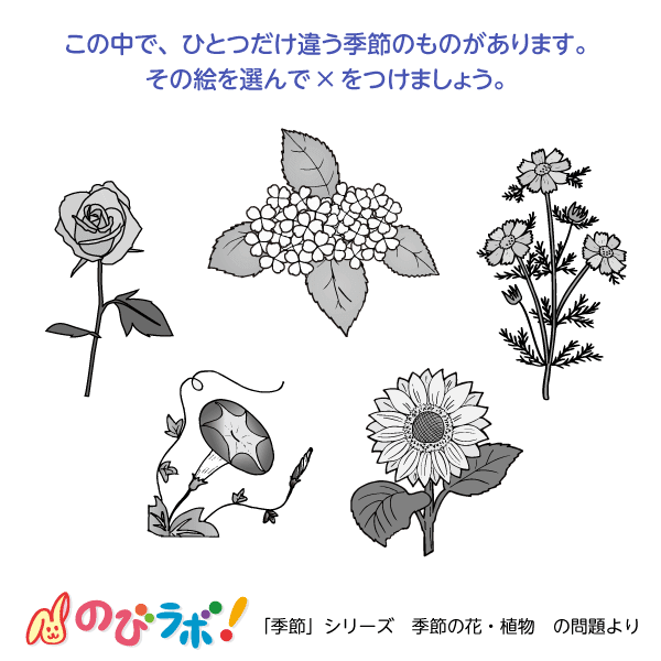 やってみよう「季節の花・植物」の問題4