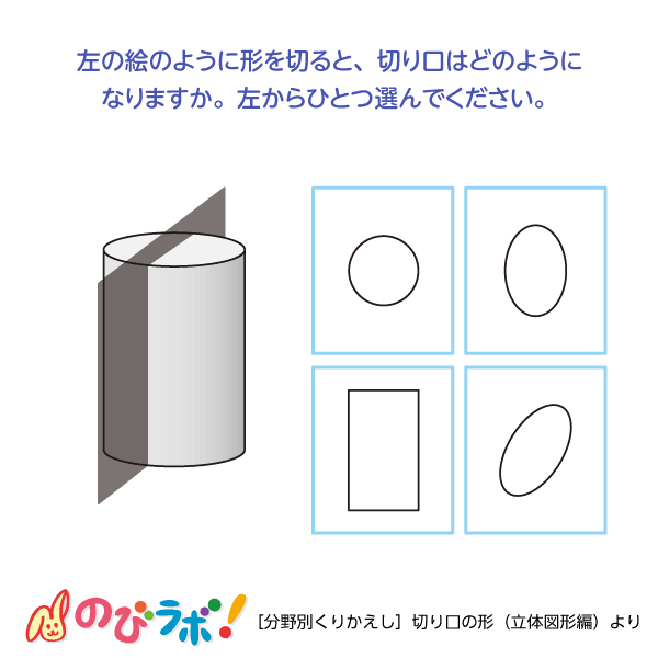 やってみよう「切り口の形（立体図形編）」の問題4