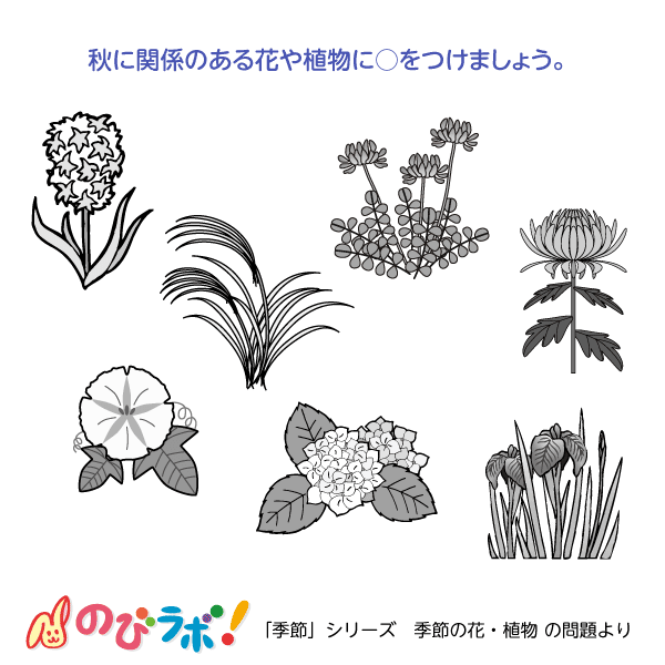 やってみよう「季節の花・植物」の問題5