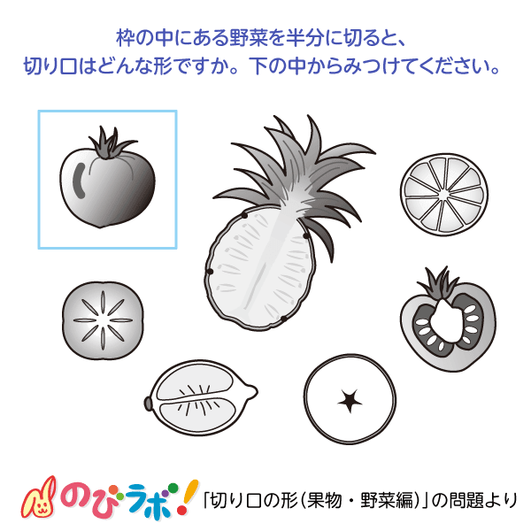 やってみよう 切り口の形 果物 野菜編 の問題4 のびラボ 幼児教材 小学校受験 学習プリントのダウンロード販売