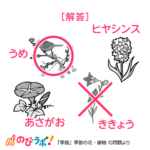 やってみよう「季節の花・植物」の問題12-解答