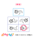 やってみよう「水面にうつるかたち」の問題7-解答