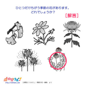 やってみよう！”季節の花・植物”の問題-解答