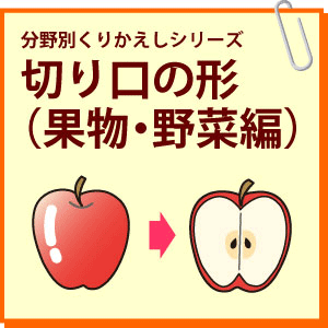 分野別くりかえし 切り口の形 果物 野菜編 のびラボ 幼児教材 小学校受験 学習プリントのダウンロード販売